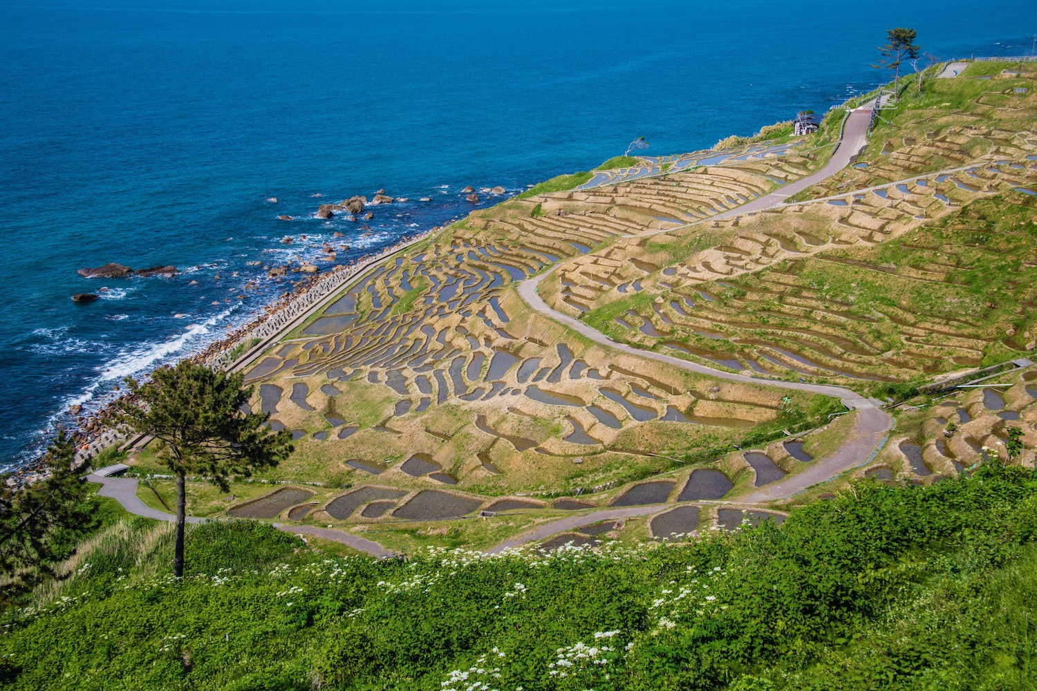 noto peninsula tours