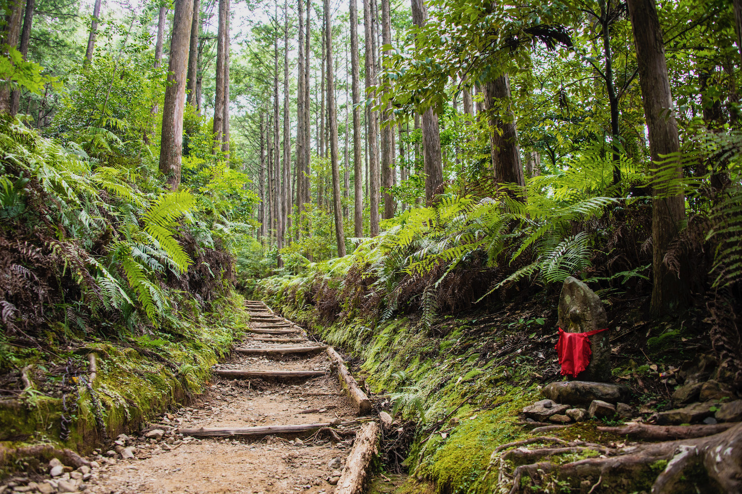 kumano kodo day trip from osaka