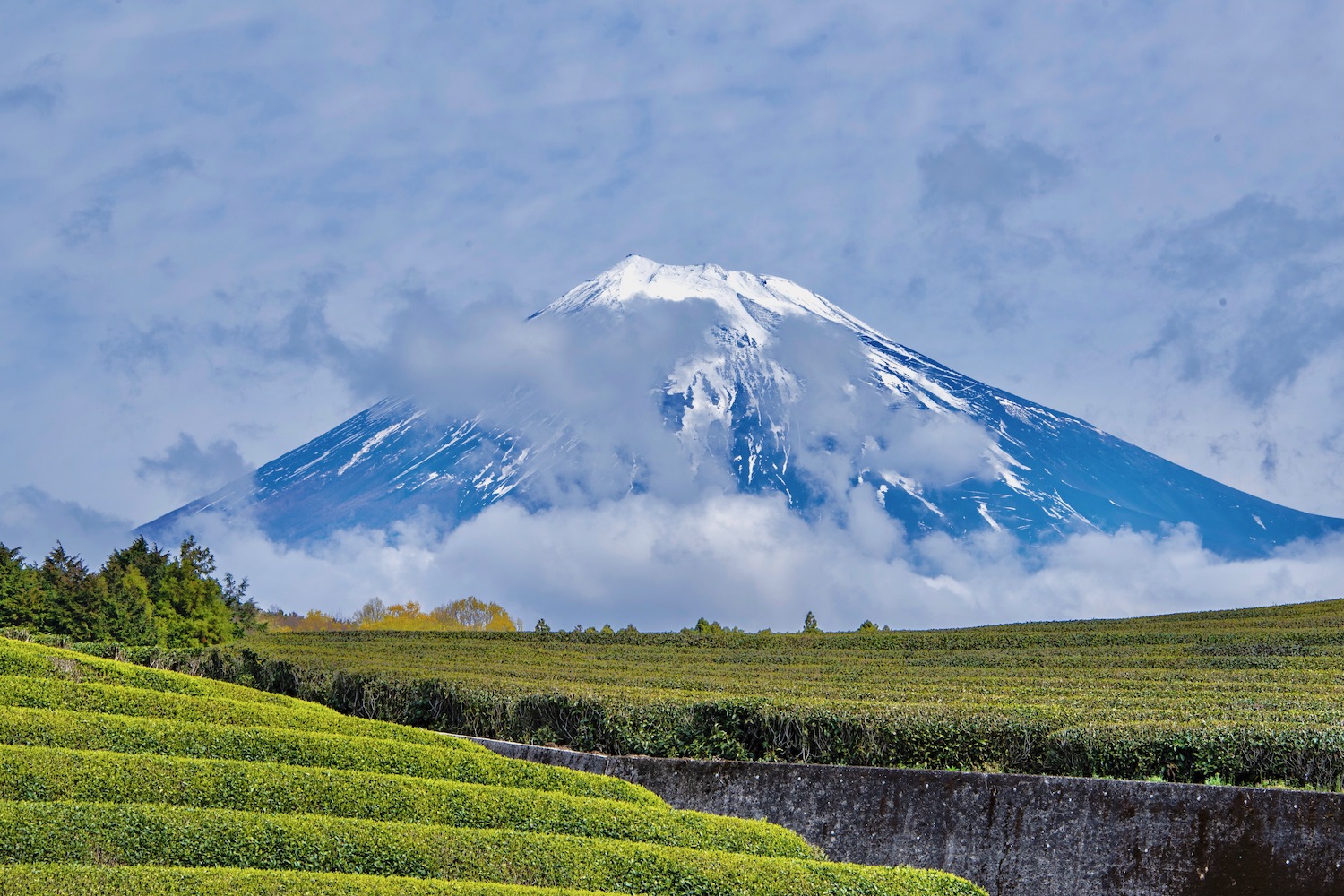 tourist spot in shizuoka japan