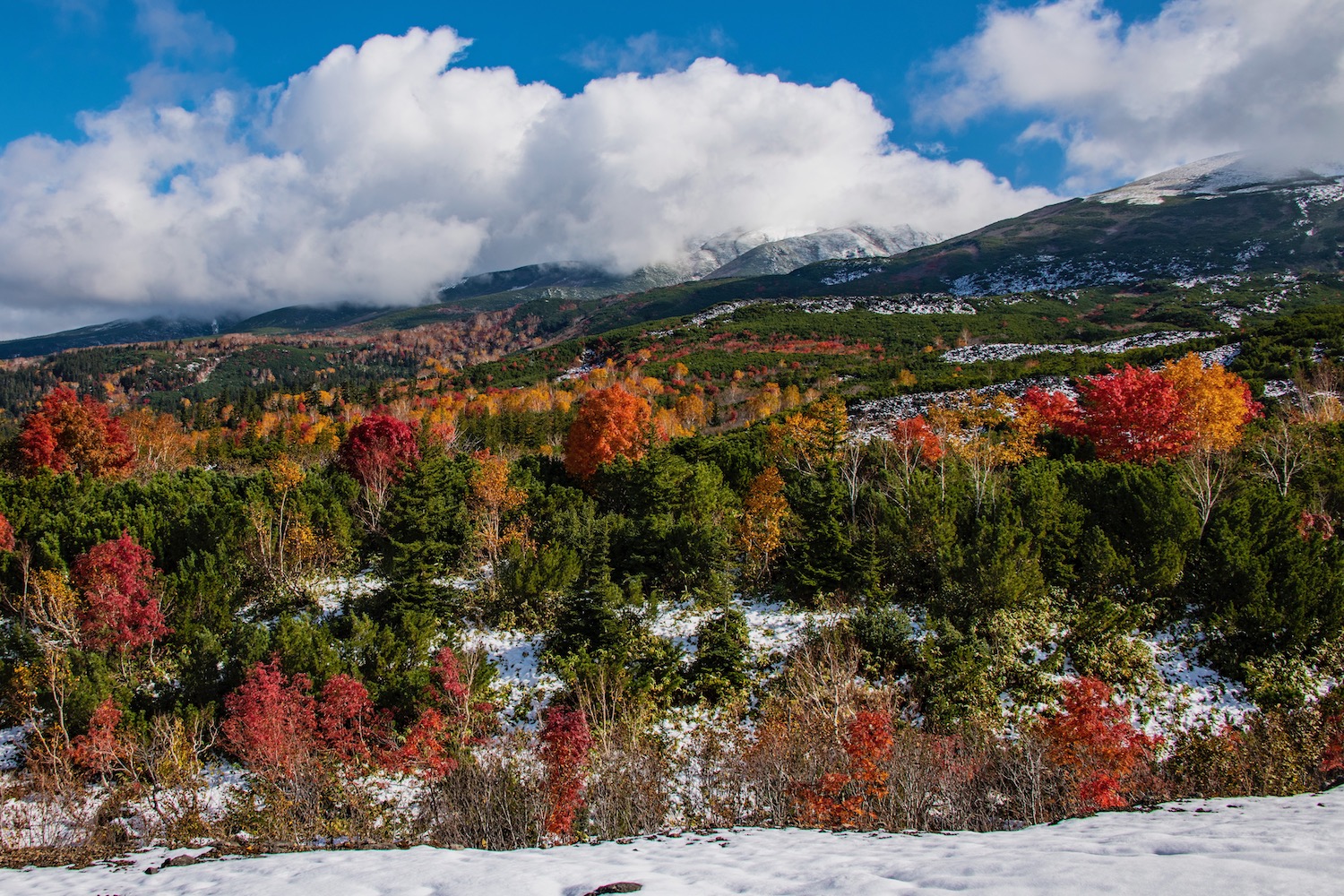 travel to hokkaido in november