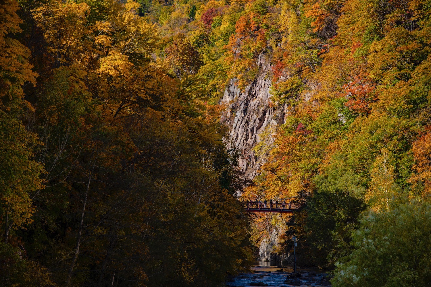 travel to hokkaido in november