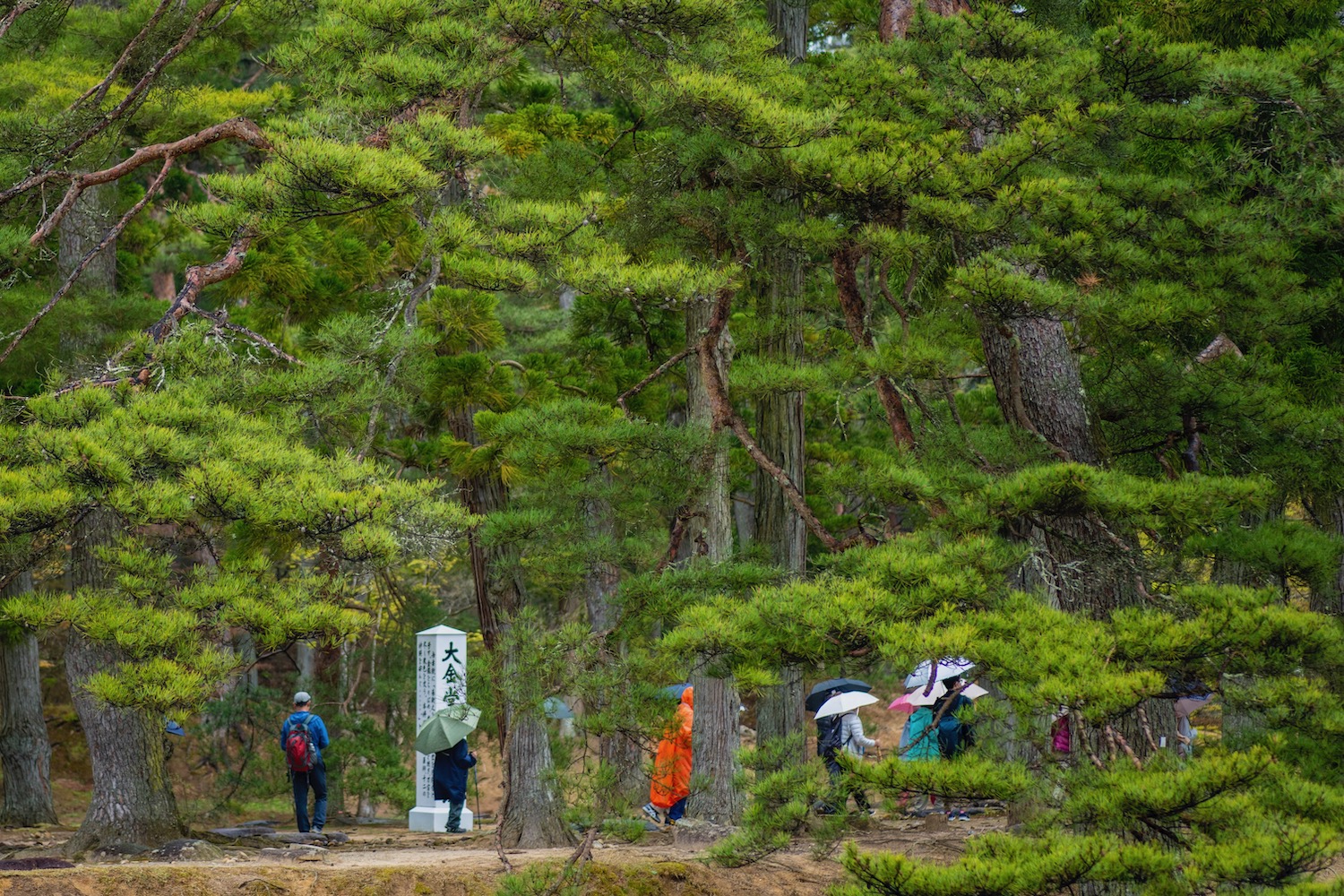 The Superb Japanese City You ve Got By No Means Heard Of 